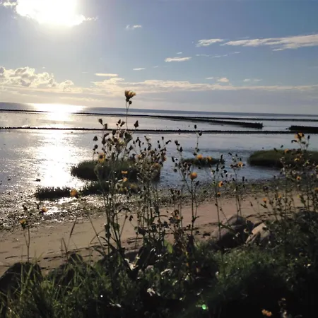 App. Eidum 01 * Westerland
