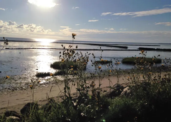 App. Eidum 01 * Westerland